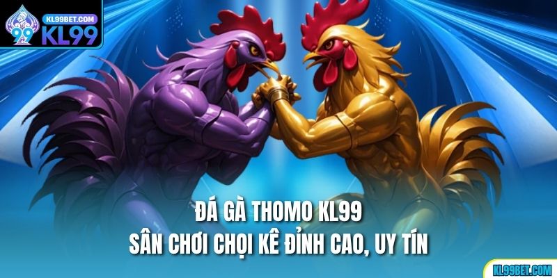 Đá Gà Thomo KL99 - Sân Chơi Chọi Kê Đỉnh Cao, Uy Tín